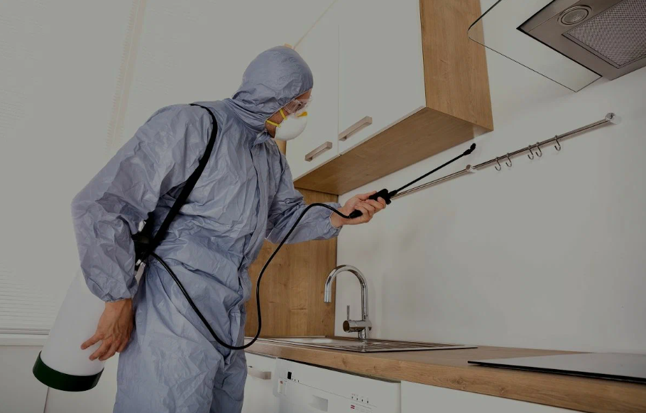 Bloomington pest managment